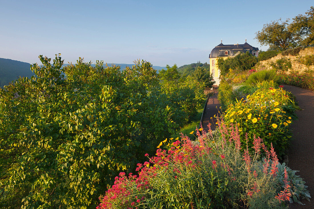 Garden at Rococo Castle, Dornburg Castle, Dornburg, Saale, Thuringia, Germany