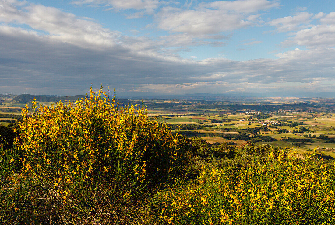 view from Alto del Perdon, Sierra del Perdon, near Pamplona, Camino Frances, Way of St. James, Camino de Santiago, pilgrims way, UNESCO World Heritage, European Cultural Route, province of Navarra, Northern Spain, Spain, Europe