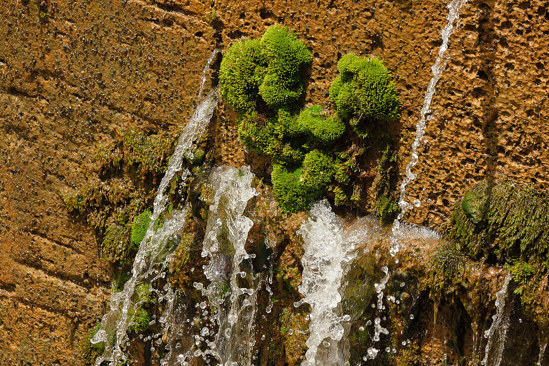 water and moss, heart, symbol, Canal de Castilla, Channal of Castile, sluice, 18th. century, Fromista, Camino Frances, Way of St. James, Camino de Santiago, pilgrims way, UNESCO World Heritage, European Cultural Route, province of Palencia, Old Castile, C