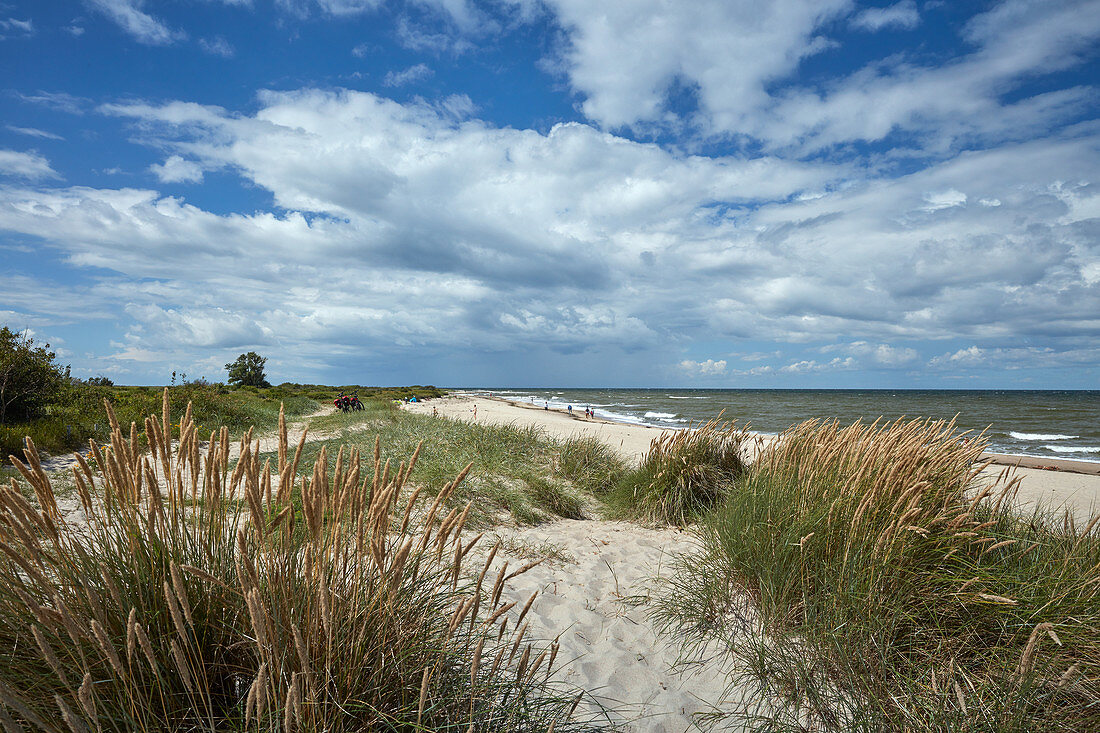 Ostseeküste bei Kühlungsborn, Mecklenburg Vorpommern, Deutschland