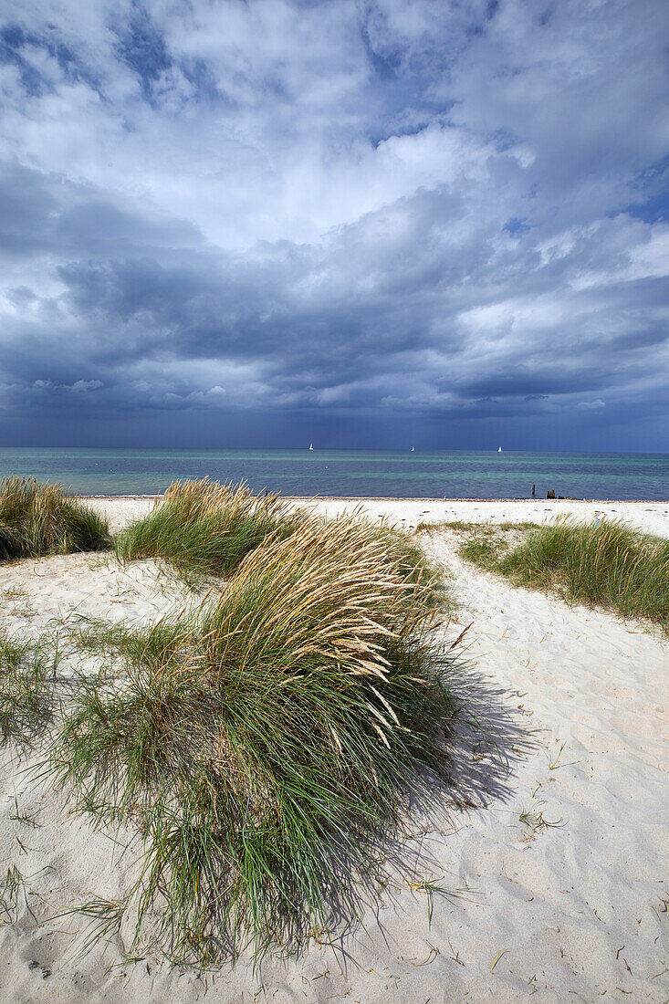 Batic coast at Kuehlungsborn, Mecklenburg-Vorpommern, Germany