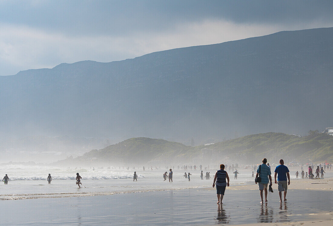 People enjoying walking on the main beach and in the sea in the late afternoon light, Hermanus, South Africa, Africa