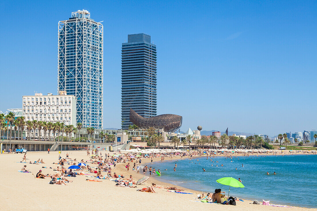 Menschen Sonnenbaden am Strand von Barcelona, ??Barceloneta, Barcelona, ??Katalonien (Katalonien), Spanien, Europa