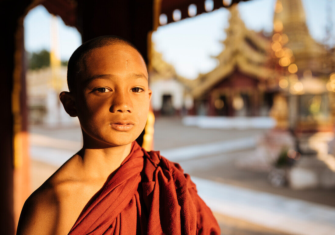 Young Buddhist monk, Bagan (Pagan), Mandalay Region, Myanmar (Burma), Asia