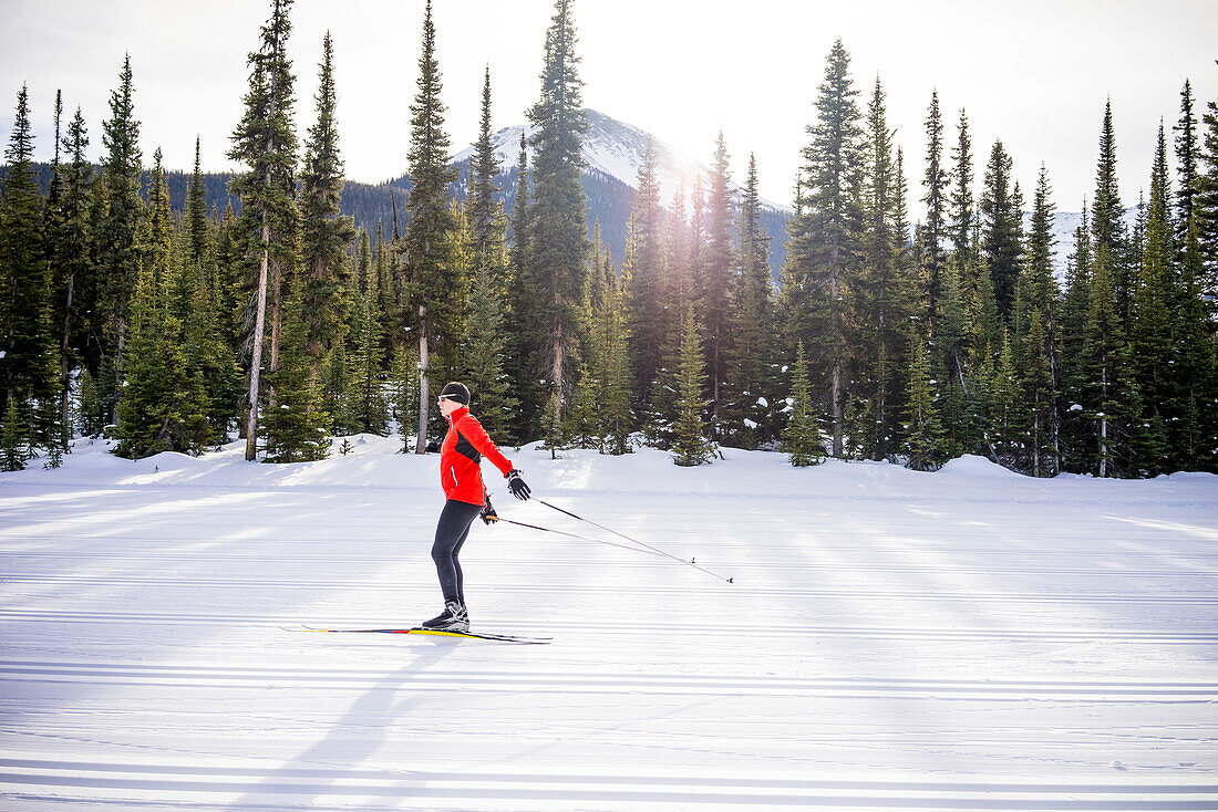 Cross country skier follows groomed ski track, forest