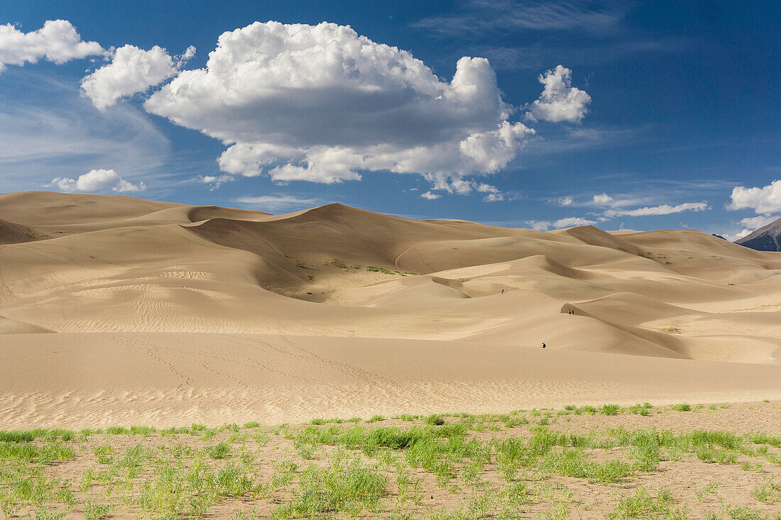 Overview of sand dunes on a sunny afternoon