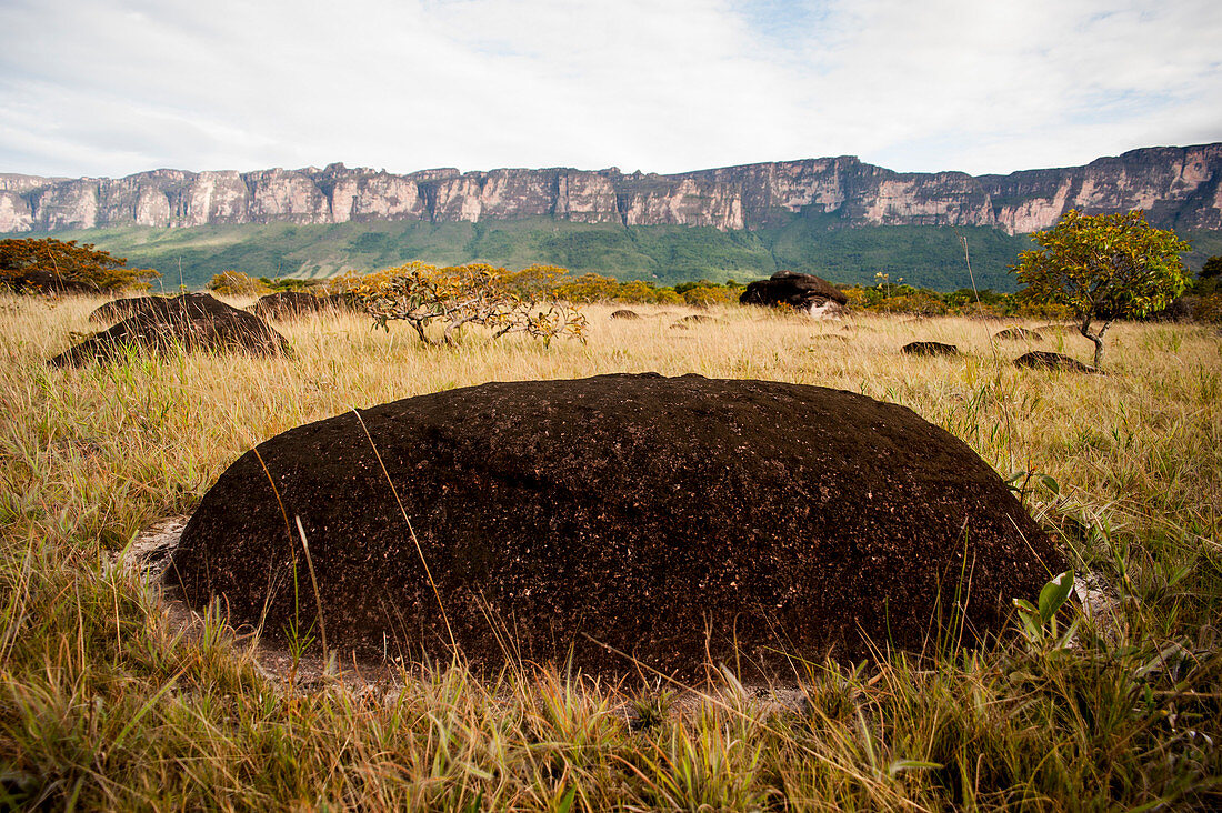 Black Rock auf der Landschaft bei Ayan Tepui In Bolivar State, Venezuela