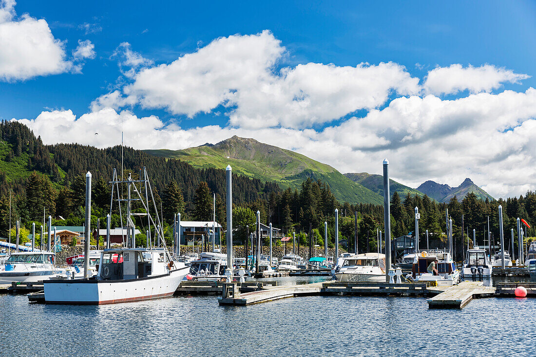 Small Boats docked in the Seldovia Harbor on a bright Sunny day, Seldovia, Southcentral Alaska, USA, Summer