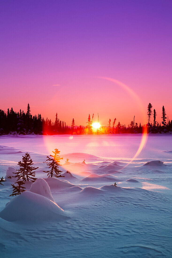'Sun flare glowing over a winter landscape; Trapper Creek, Alaska, United States of America'