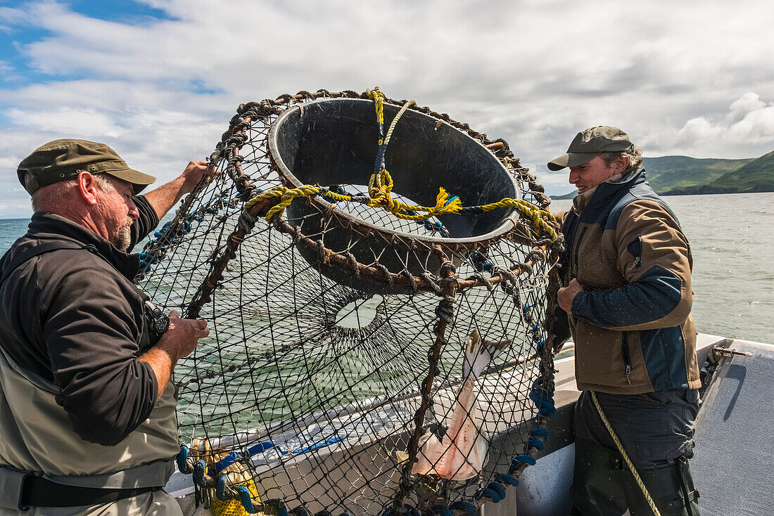 Two men prepare to drop a crab pot baited with halibut in the Cook Inlet near Kukak Bay, Katmai National Park & Preserve, Southwest Alaska, USA