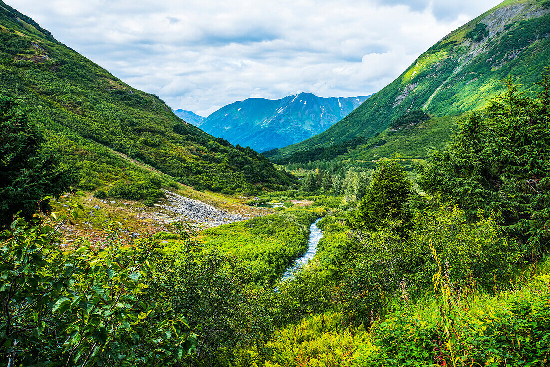 The Johnson Pass Trail in summer, Southcentral Alaska, USA