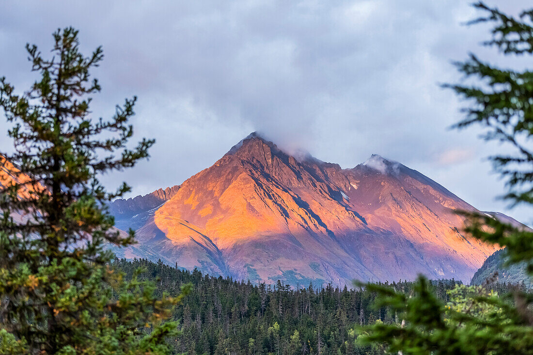 Sonnenuntergang leuchtet ein Hang des Kenai Mountains in der Nähe von Moose Pass, South Central Alaska, USA