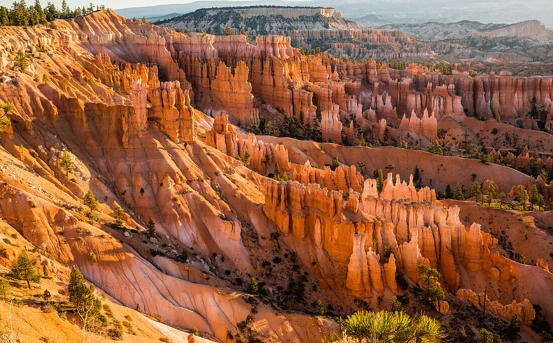 'Fairy chimneys in Bryce Canyon National Park; Utah, United States of America'
