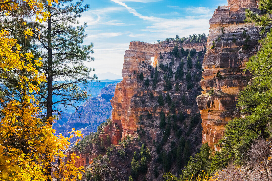 'Grand Canyon Nationalpark, Nordrand; Arizona, Vereinigte Staaten von Amerika'