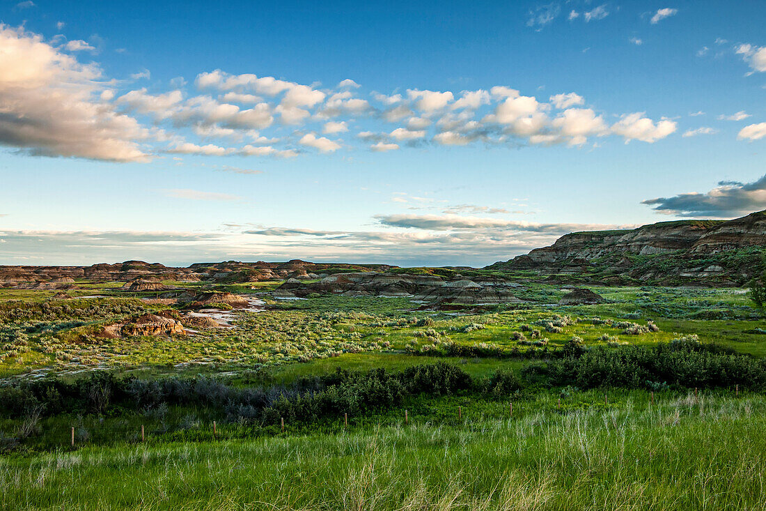 'Landscape of green foliage and brown hills under a blue sky with cloud; Herschel, Saskatchewan, Canada'