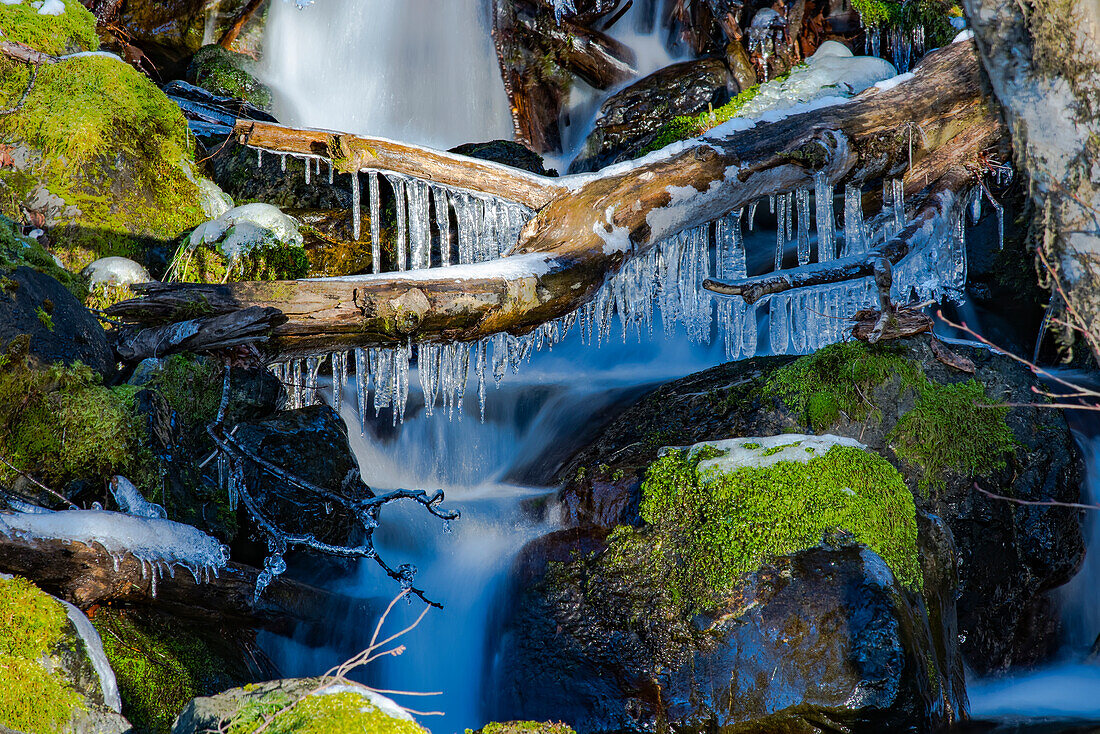 'Sammlung von Eis auf einem gefallenen Protokoll über einen kleinen Wasserfall in der olympischen Halbinsel Regenwald; Washington, Vereinigte Staaten von Amerika'