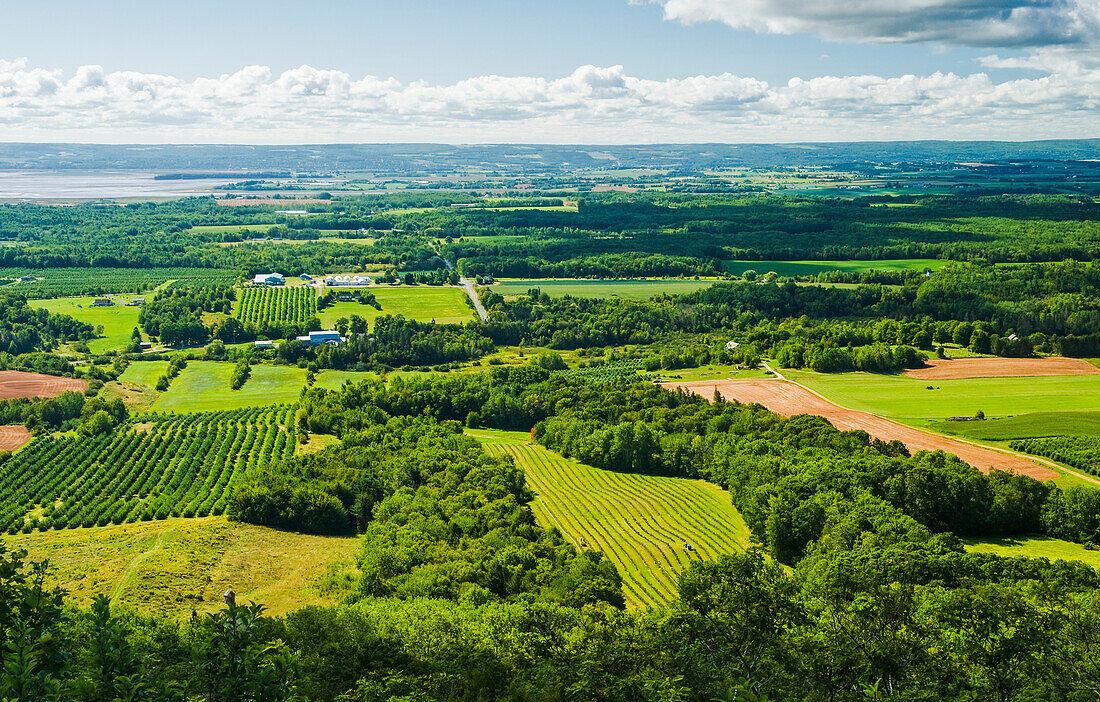 'View from Blomidon Lookoff showing farmland, Annapolis Valley; Nova Scotia, Canada'
