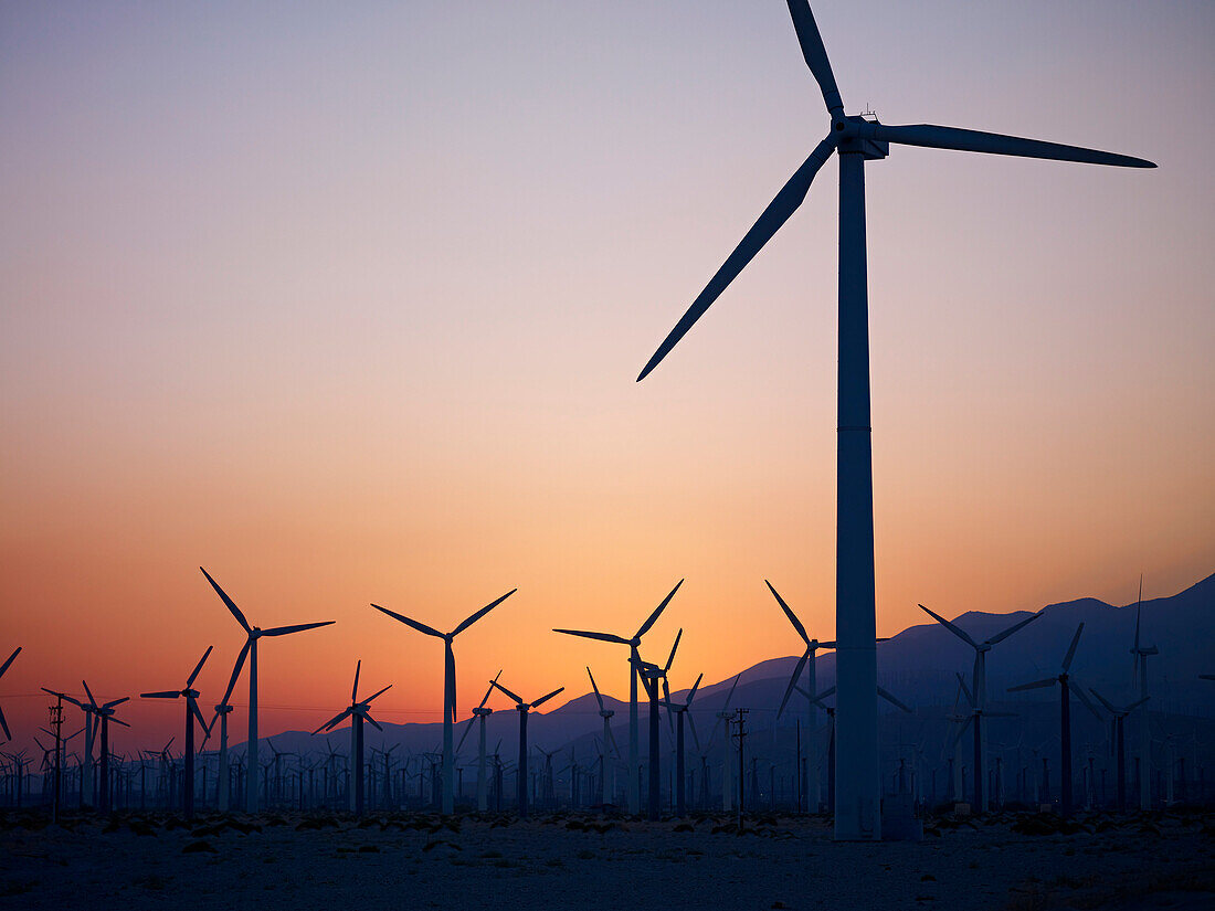 'Silhouette of wind turbines in a field with a mountain range in the distance at sunset; Palm Springs, California, United States of America'
