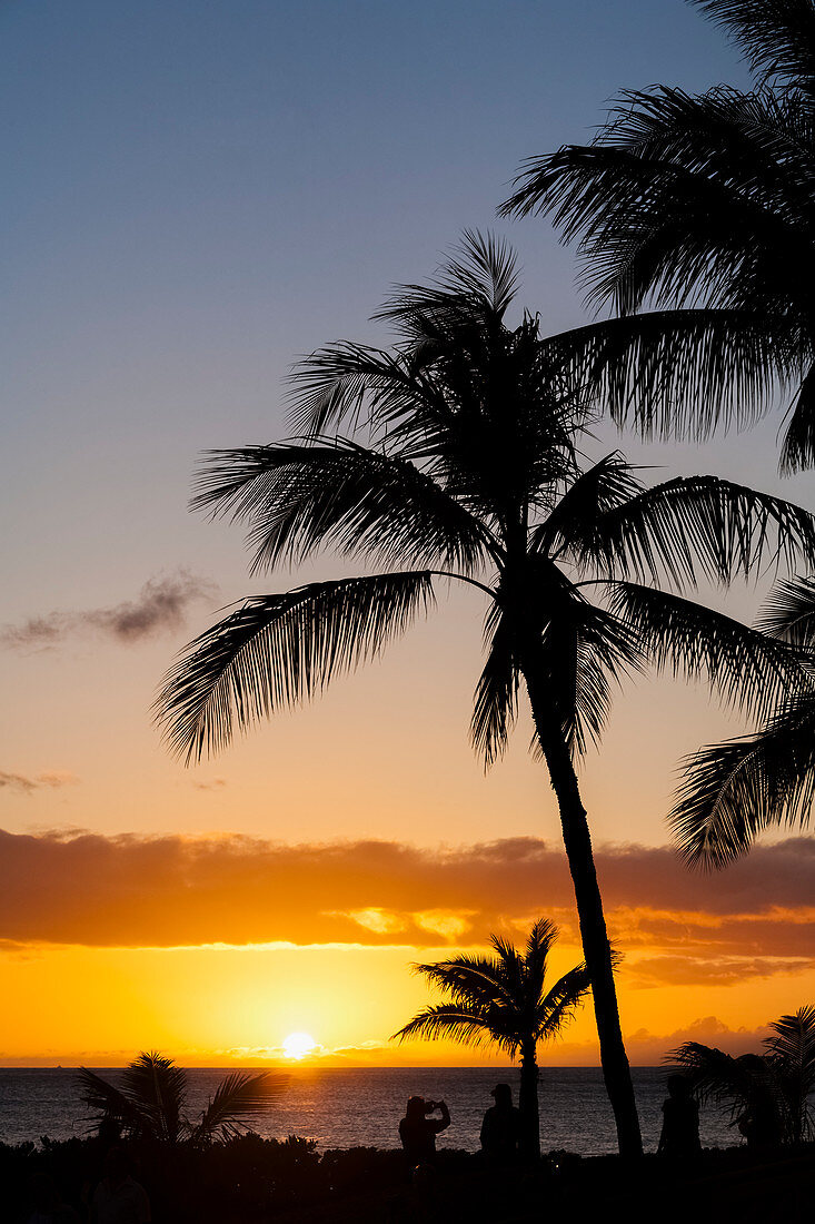 'Silhouetted palm trees and tourists along the coast looking at a golden sunset and tranquil ocean; Hawaii, United States of America'