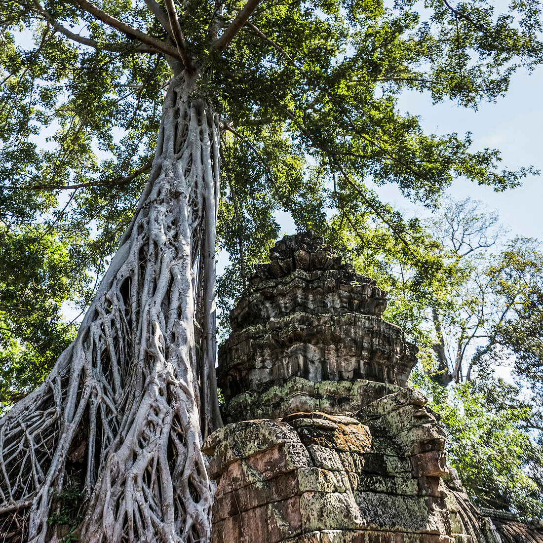 'Ta Prohm Kel Tempel, Angkor Archäologischer Park; Krong Siem Reap, Siem Reap Provinz, Kambodscha'
