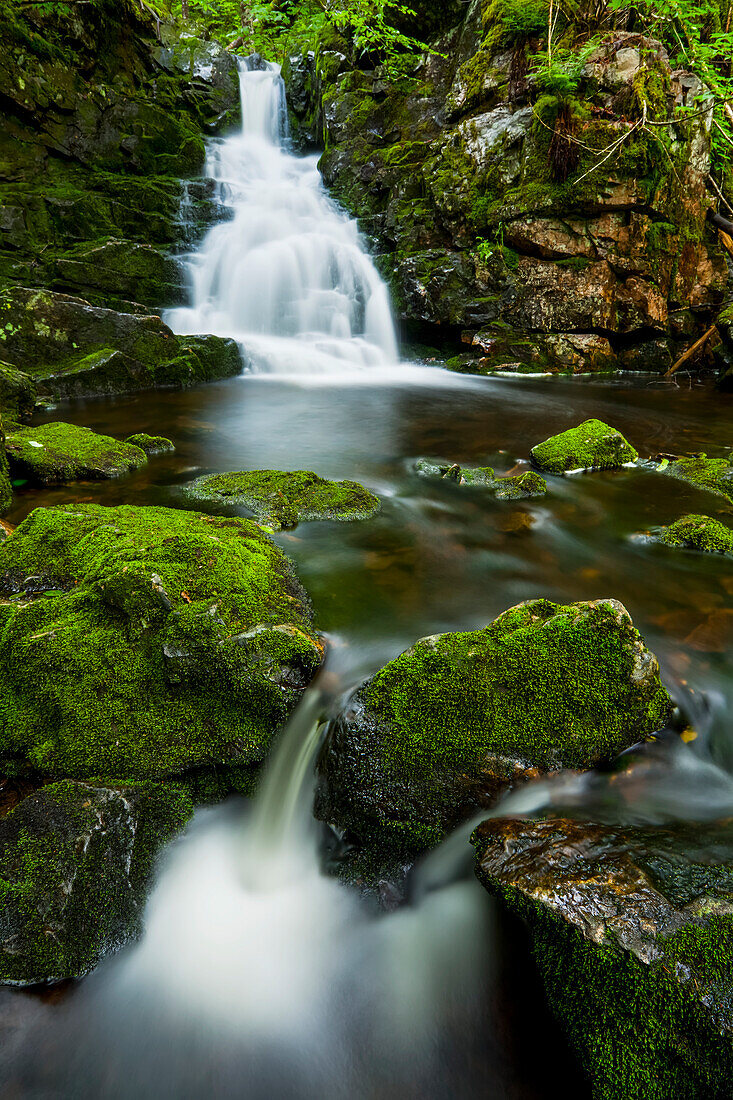 'Wasserfall und moosige Felsen, Ostzweig des Great Village River, in der Nähe von Wentworth Valley; Nova Scotia, Kanada'