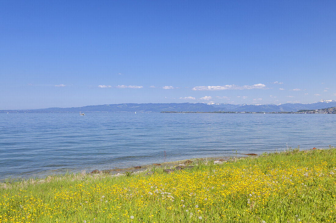 View of Lake Constance, Horn, Swiss Canton of Thurgau, Eastern Switzerland, Switzerland, Europe
