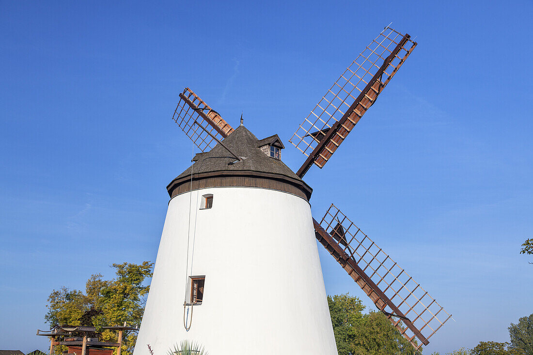 Windmill in Podersdorf near Lake Neusiedl, Burgenland, Eastern Austria, Austria, Europe