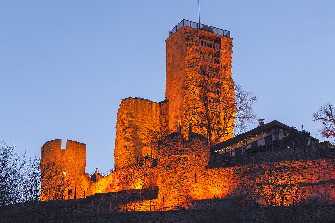 Wachtenburg auf dem Schloßberg in Wachenheim an der Weinstraße, Deutsche Weinstraße, Pfälzer Wald, Pfalz, Rheinland-Pfalz, Deutschland, Europa