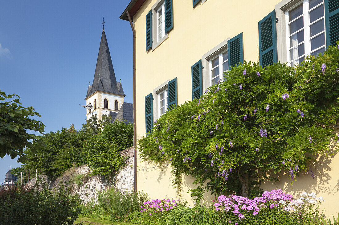 Town wall and church in Unkel by the river Rhine, Lower Central Rhine Valley, Rhineland-Palatinate, Germany, Europe