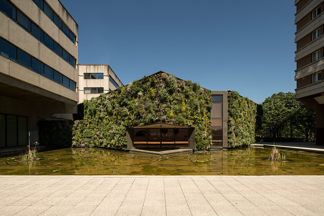 70s Building in Mériadeck with a green facade