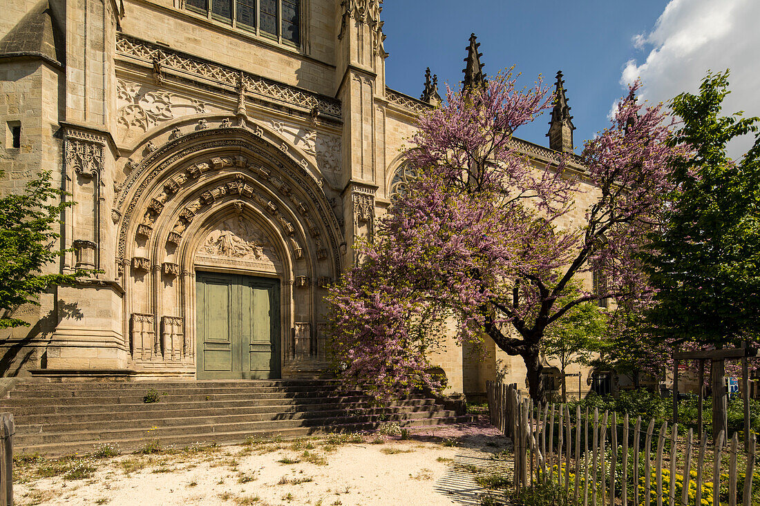 Basilika St. Michael Südpforte mit blühendem Baum, Bordeaux, Gironde, Nouvelle-Aquitaine, Frankreich, Europa