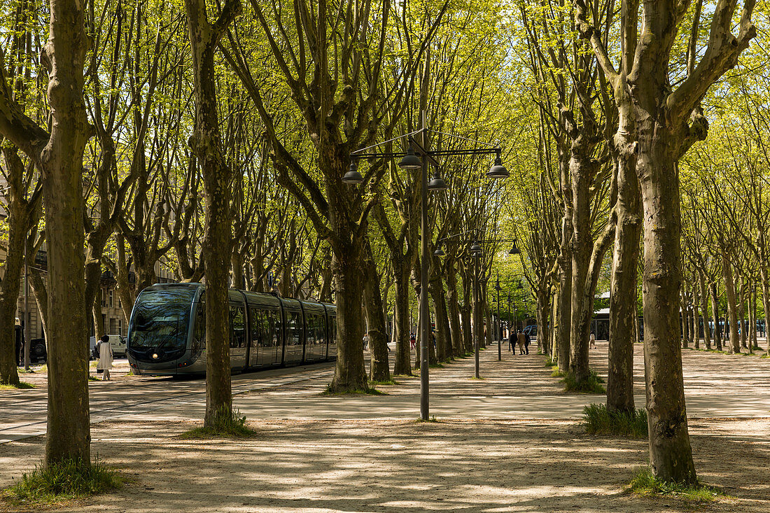 Park with tram stop Pôle d'Echanges Quinconces