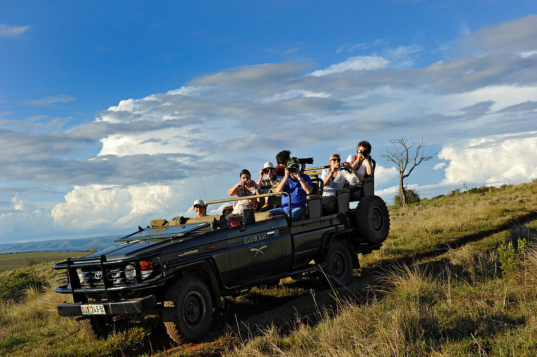 Jeep mit Personen, Wildbeobachtung, Addoo Naturpark, Südafrika