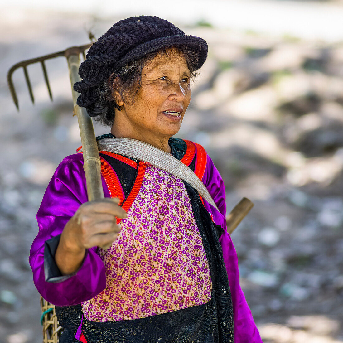'A Thai woman carrying a rake; Tambon Pa Tueng, Chang Wat Chiang Rai, Thailand'