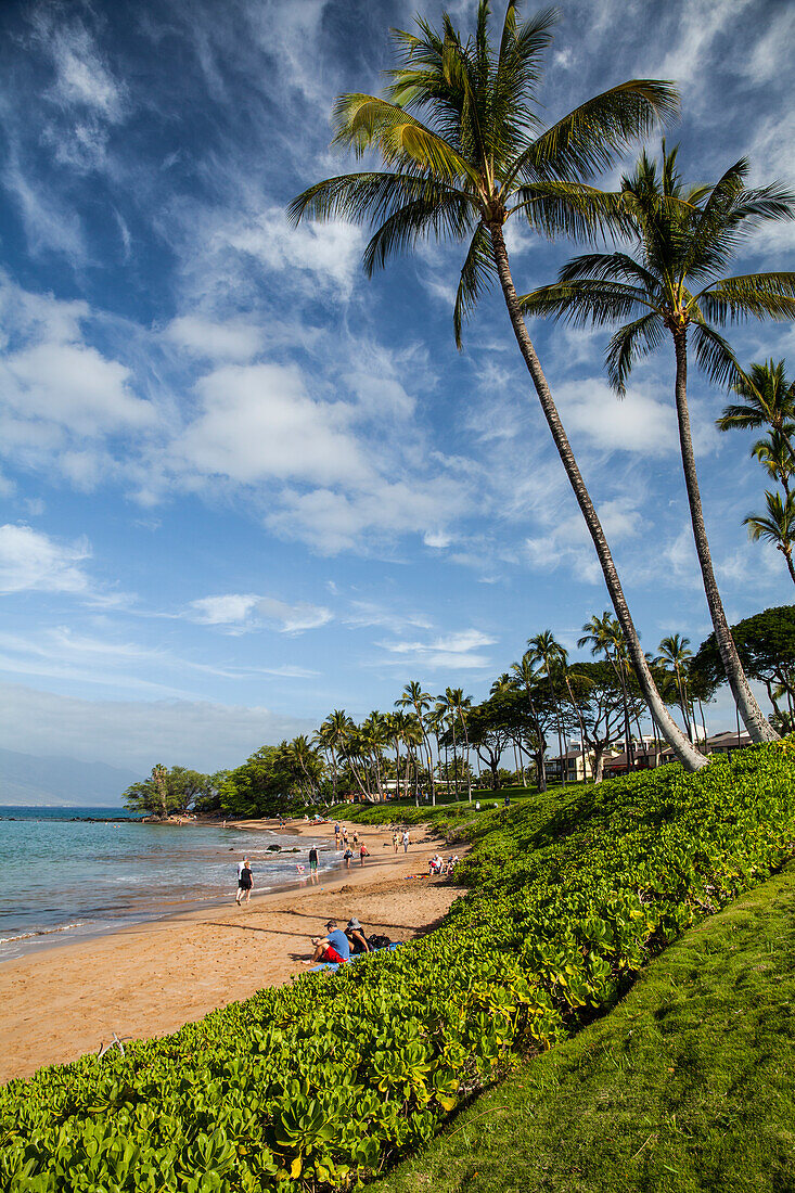 'Napaka hedge, beach goers, coconut trees; Wailea, Maui, Hawaii, United States of America'