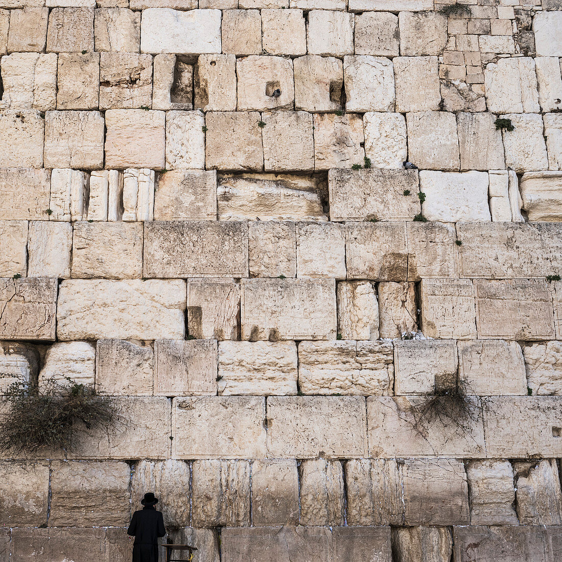 'Ein einsamer jüdischer Mann steht an der Klagemauer, die Altstadt von Jerusalem; Jerusalem, Israel'