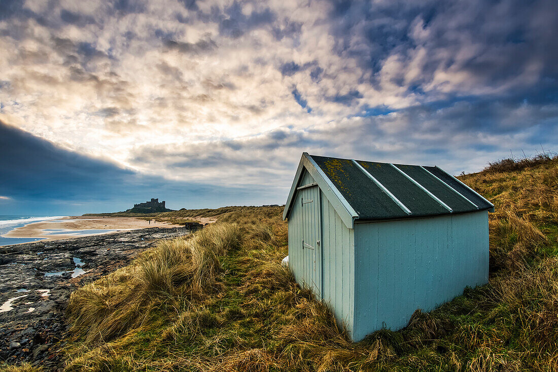 A small green shed on the grass along the coast with Bamburgh Castle in the distance, Bamburgh, Northumberland, England