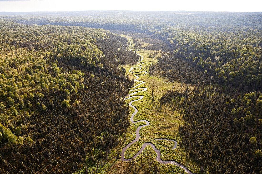Ein Fluss wickelt durch eine bewaldete Landschaft, Kenai-Halbinsel, Alaska, Vereinigte Staaten von Amerika