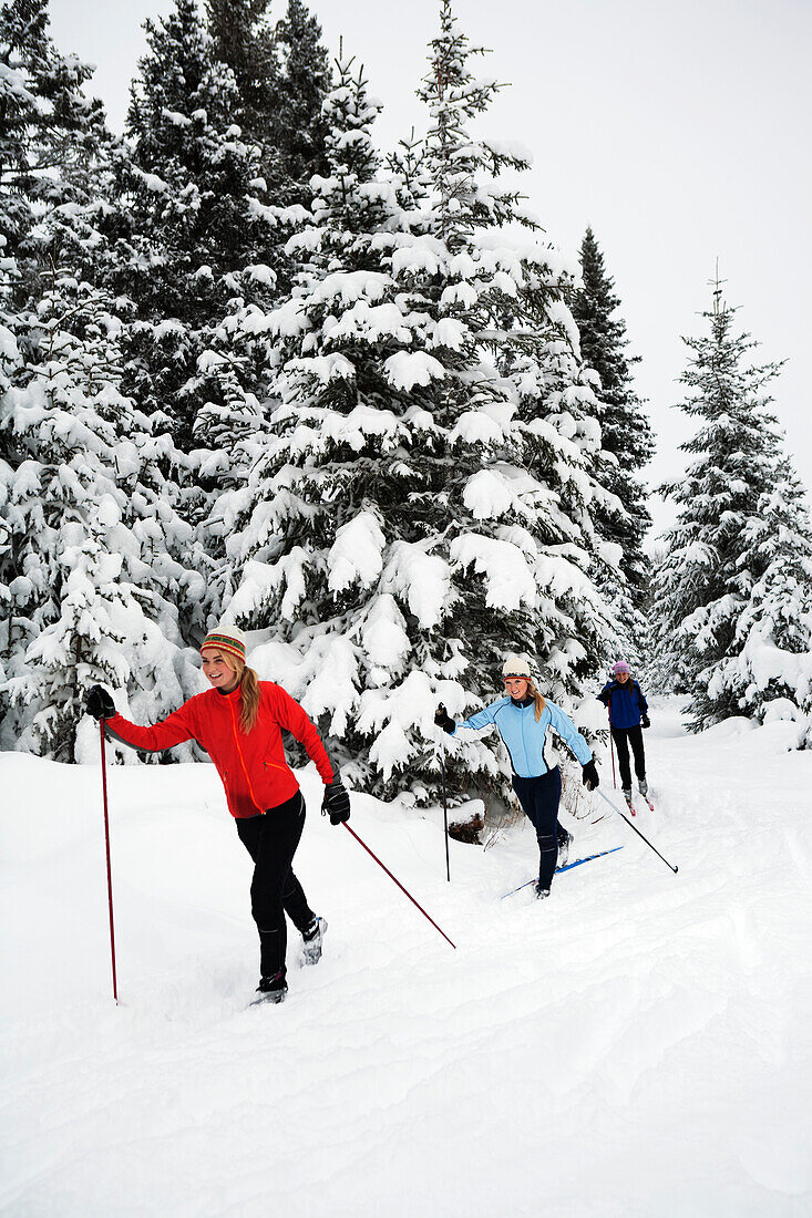 Drei junge Frauen Langlauf, Ohlson Mountain, Alaska, Vereinigte Staaten von Amerika