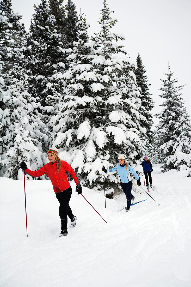 Three young women cross country skiing, Ohlson Mountain, Alaska, United States of America
