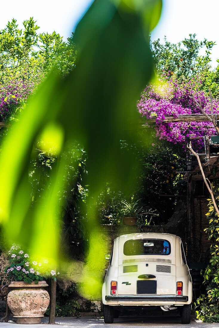 Der Italienische Autoklassiker Fiat 500 in einem mit Blumen geschmückten Carport, Sorrento, Golf von Neapel, Kampanien, Italien