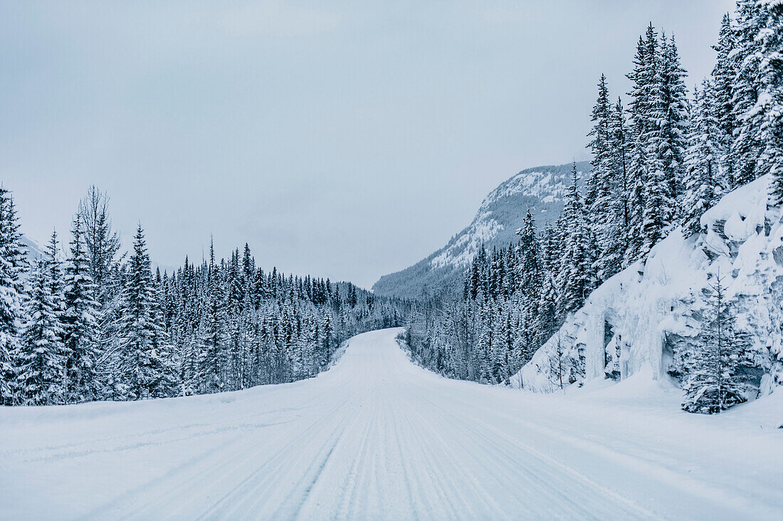 Icefields Parkway, Banff National Park, Jasper Nationalpark, Alberta, Kanada, Nordamerika