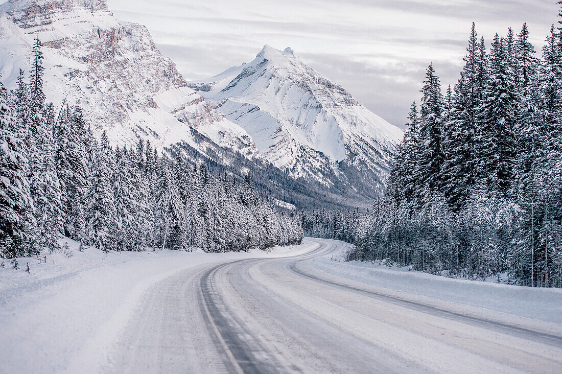 Icefields Parkway, Banff National Park, Jasper Nationalpark, Alberta, Kanada, Nordamerika