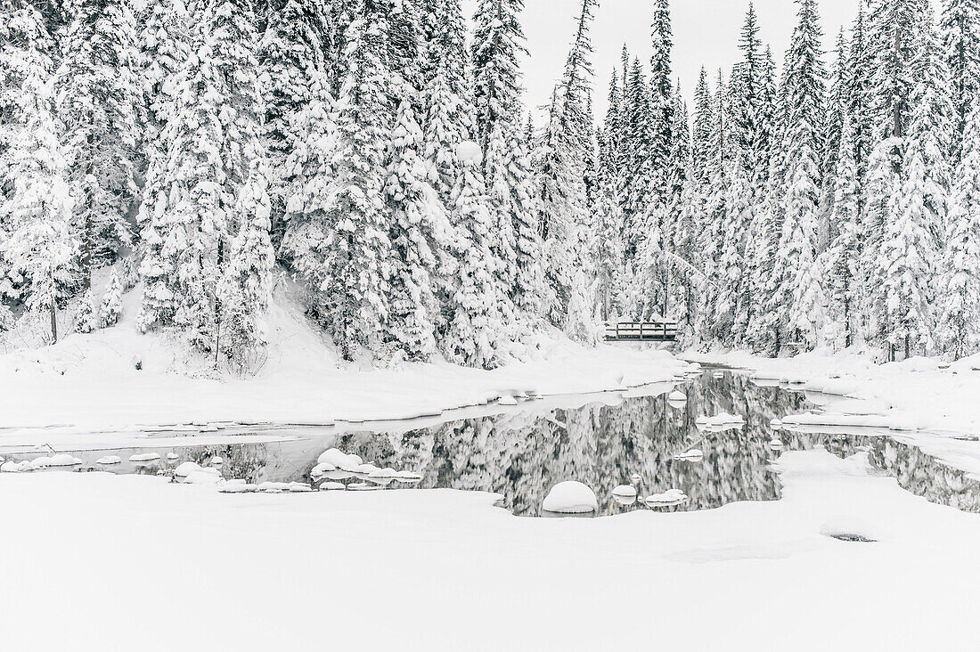 brücke am Emerald Lake Lodge, Emerald Lake, Yoho Nationalpark, British Columbia, Kanada, Nordamerika