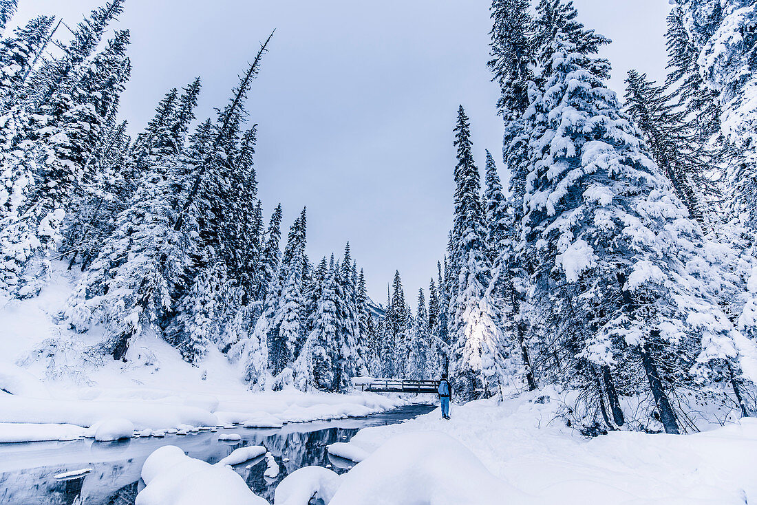 man on a bridge at Emerald Lake, Emerald lake, Yoho National Park, British Columbia, Kanada, north america