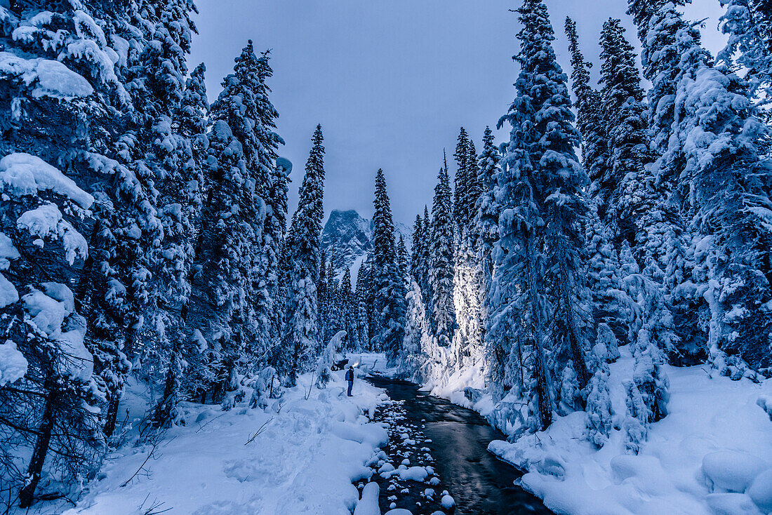 man hiking at a river at Yoho National park, Emerald lake, Yoho National Park, British Columbia, Kanada, north america