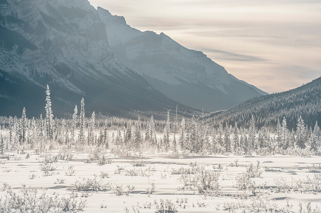 Icefields Parkway, Banff National Park, Jasper Nationalpark, Alberta, Kanada, Nordamerika