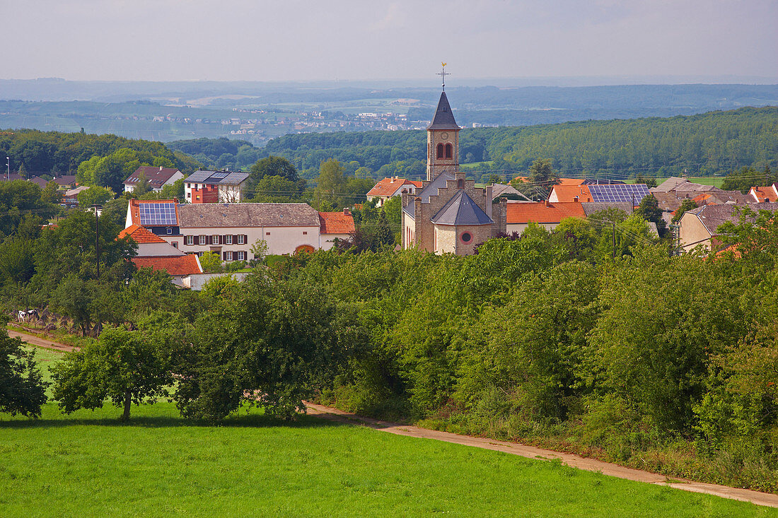 Orschholzriegel , Part of former Western Wall, TettlingenButzdorf , Local authority Perl , Saarland , Germany , Europe