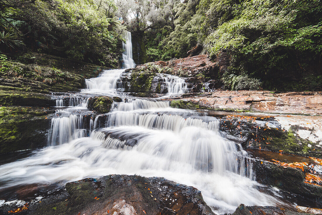 McLean Falls Gehweg, Catlins Forest Park, Südinsel, Neuseeland, Pazifik