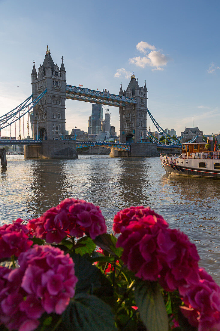 Tower Bridge und City of London Skyline von Butler's Wharf, London, England, Vereinigtes Königreich, Europa